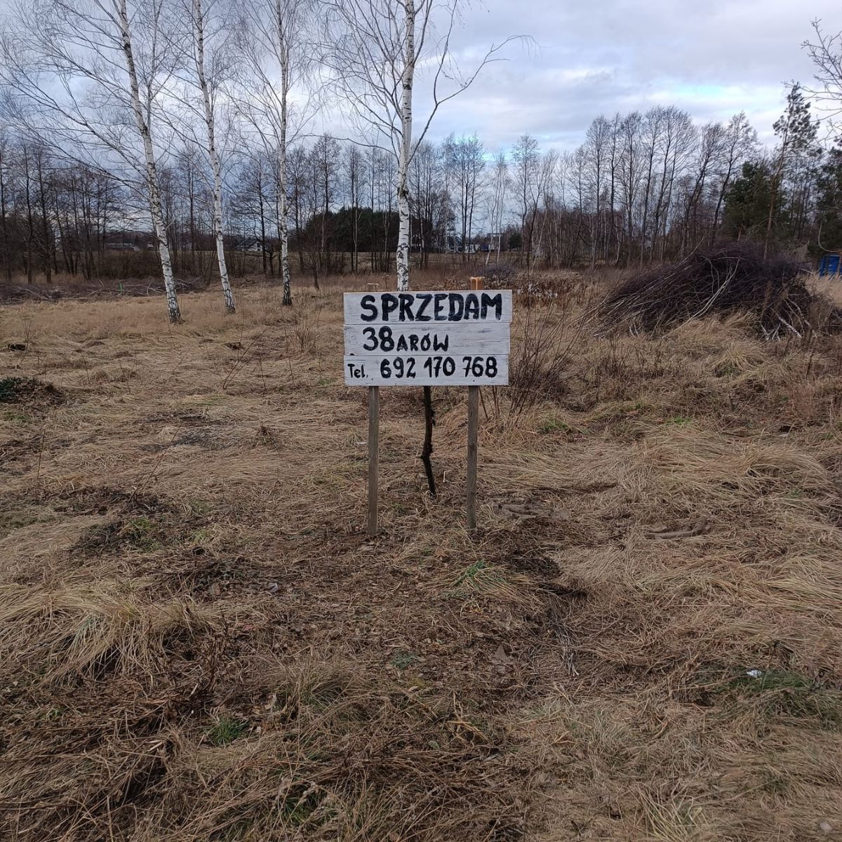 Widok działki budowlanej przy ul. Reymonta